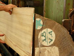 Lastronatura legno Teak