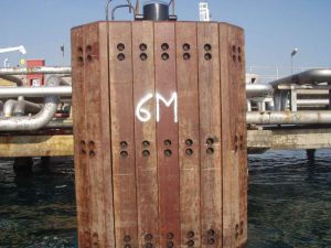 Fenders in azobè per il porto di Taranto